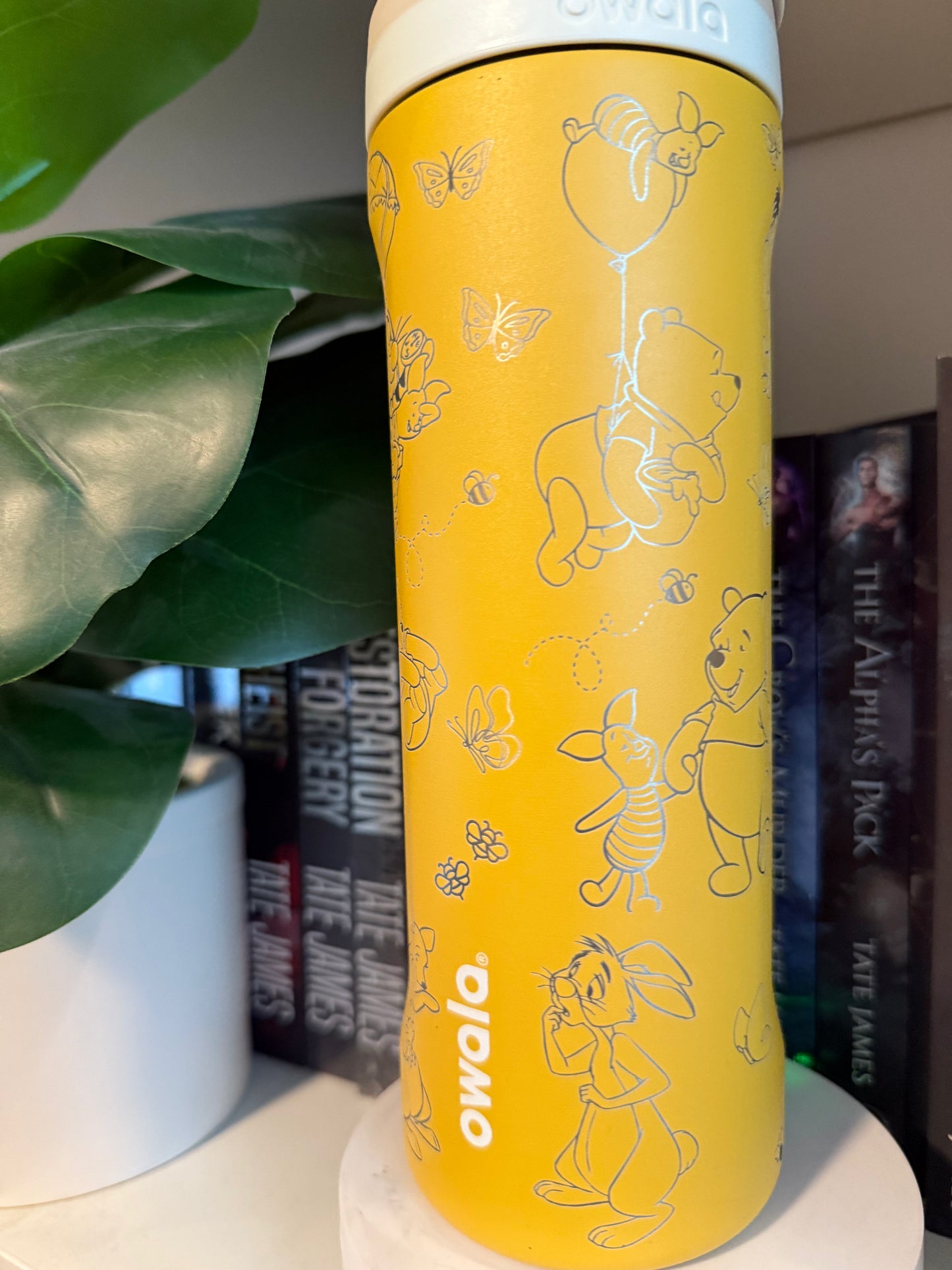 Engraved Winnie The Pooh 24oz Owala Water Bottle | Free Sip and Spill Proof | Special Edition tumbler | Fits Most Car Cup Holders | Pooh